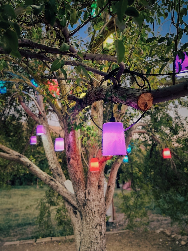 Illuminated Lanterns on the Tree